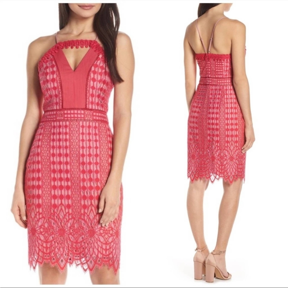 NWT Harlyn Contrast Chiffon lace halter bodycon dress